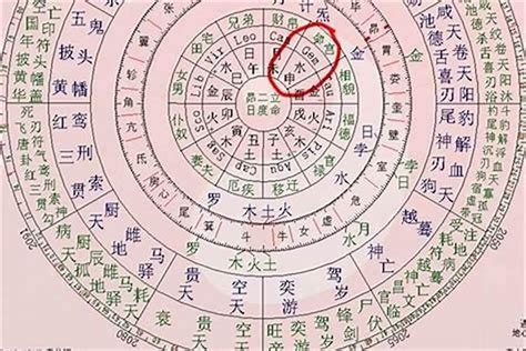 天公子的八字命格|八字命格